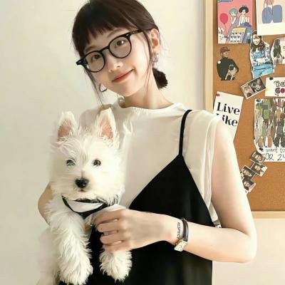 探案新窍门 第四季